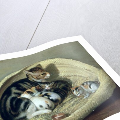 Cat with Her Kittens in a Basket by Samuel de Wilde