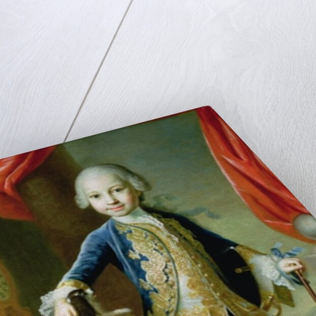 Portrait of a Boy with Pet Spaniel, 18th century by Martin van Mytens or Meytens