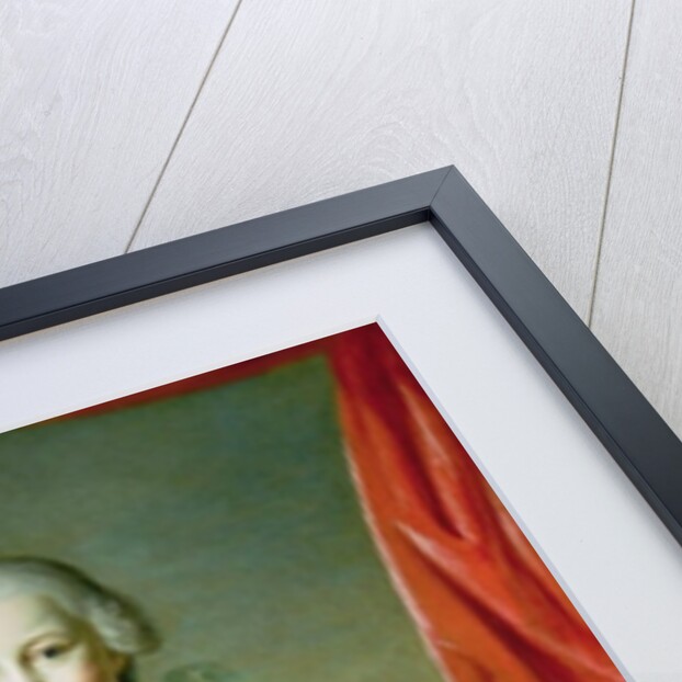 Portrait of a Boy with Pet Spaniel, 18th century by Martin van Mytens or Meytens