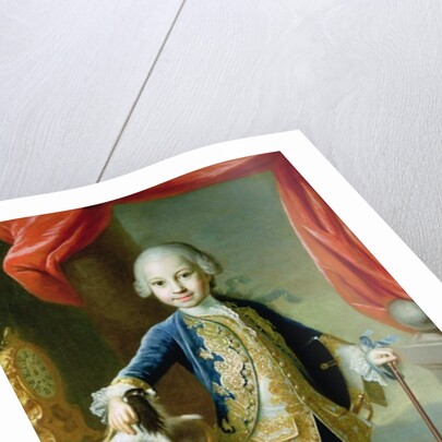 Portrait of a Boy with Pet Spaniel, 18th century by Martin van Mytens or Meytens