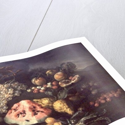 Still Life by Bartolomeo Bimbi