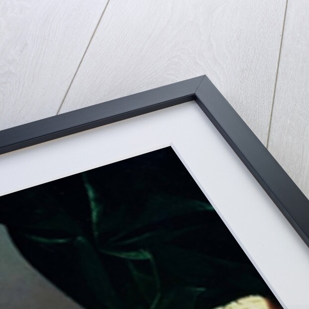 Grapes and plums by Edward Ladell