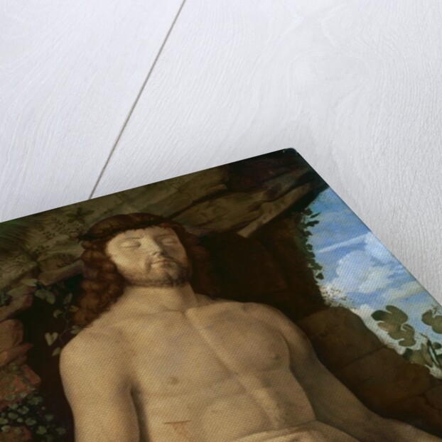 The Dead Christ, c.1510 by Marco Basaiti