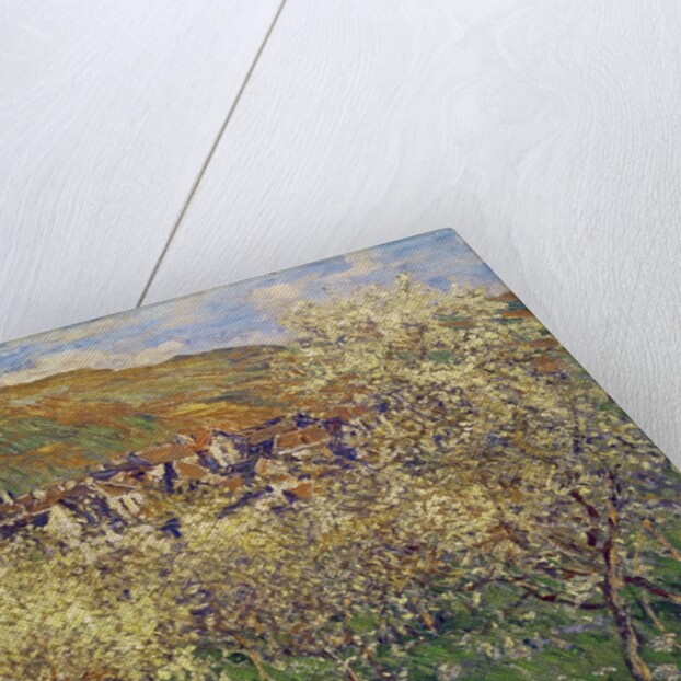 Plum Trees in Blossom, 1879 by Claude Monet