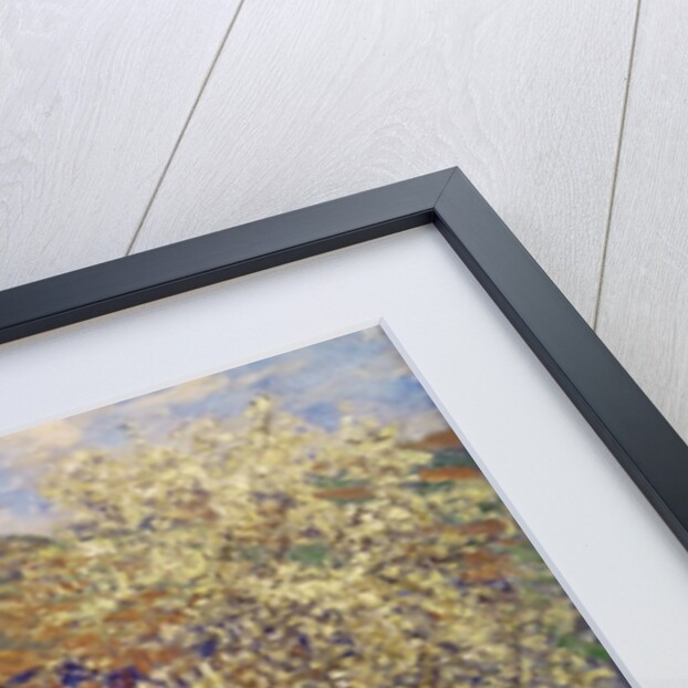 Plum Trees in Blossom, 1879 by Claude Monet