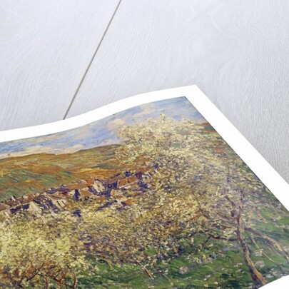 Plum Trees in Blossom, 1879 by Claude Monet