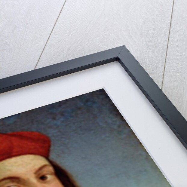 Portrait of the Young Pietro Bembo, 1504-6 by Raphael