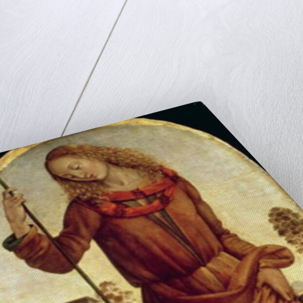 Tiberius Gracchus by Luca Signorelli