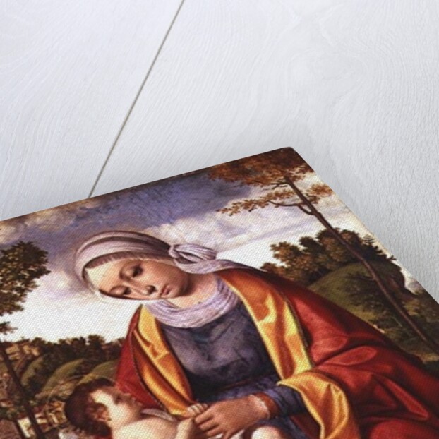 The Virgin and Child by Andrea Previtali