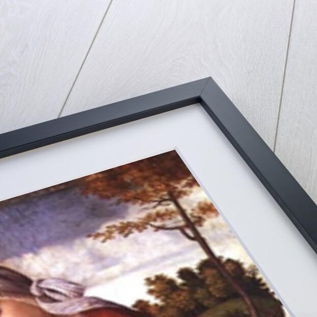 The Virgin and Child by Andrea Previtali