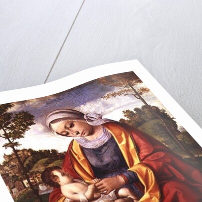 The Virgin and Child by Andrea Previtali