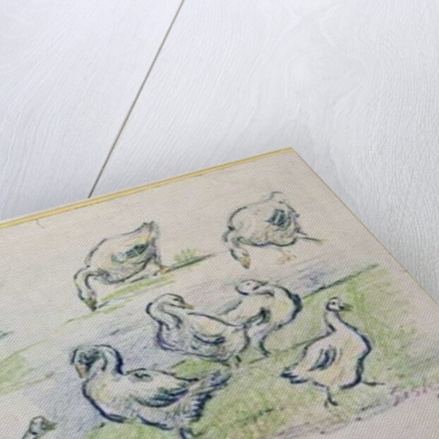 Ducks by Alfred Sisley