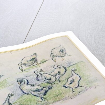 Ducks by Alfred Sisley