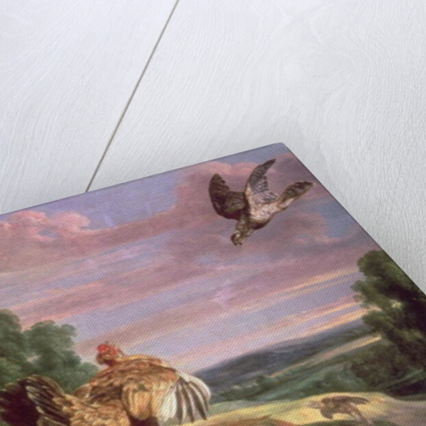 The Hawk and the Hen by Frans Snyders or Snijders