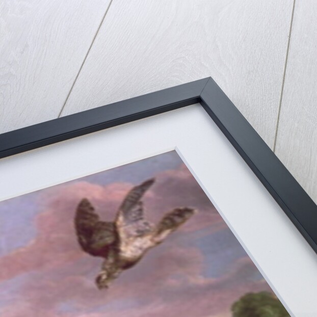 The Hawk and the Hen by Frans Snyders or Snijders