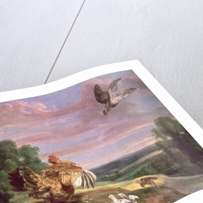 The Hawk and the Hen by Frans Snyders or Snijders