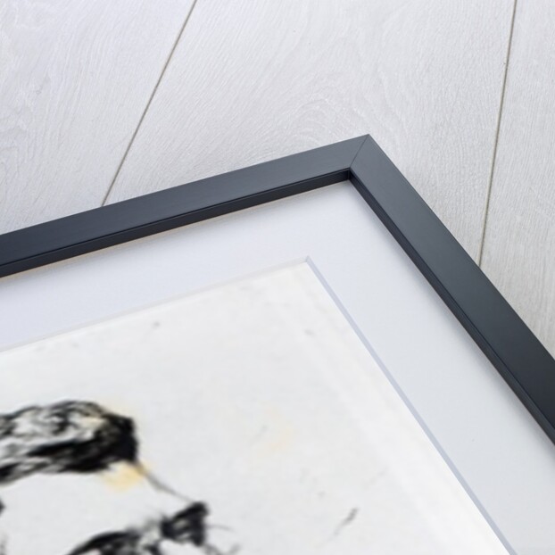 Portrait of Georges Bizet, 1900 by Etienne Carjat