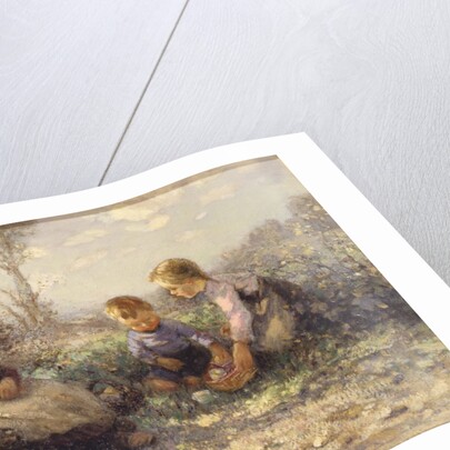 The Picnic, 20th century by James Faulds