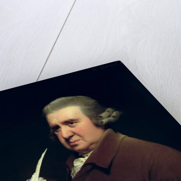 Portrait of Dr Erasmus Darwin scientist, inventor and poet, grandfather of Charles Darwin, 1792-93 by Joseph Wright of Derby