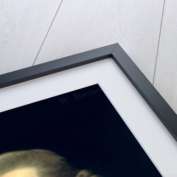 Portrait of Dr Erasmus Darwin scientist, inventor and poet, grandfather of Charles Darwin, 1792-93 by Joseph Wright of Derby