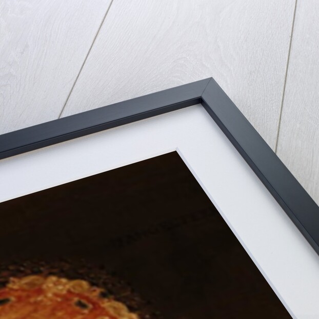 Portrait of Queen Elizabeth I by Marcus the Younger Gheeraerts