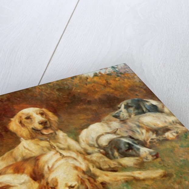 Waiting for the Guns by Thomas Blinks