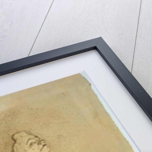 Yvette Guilbert, 1894 by Henri de Toulouse-Lautrec