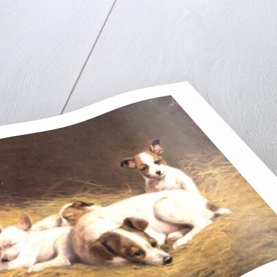 A Terrier with Three Puppies by Gabrielle Rainer-Istuanty