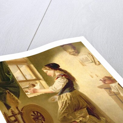 Feeding the Birds in Winter by Hubert Salentin