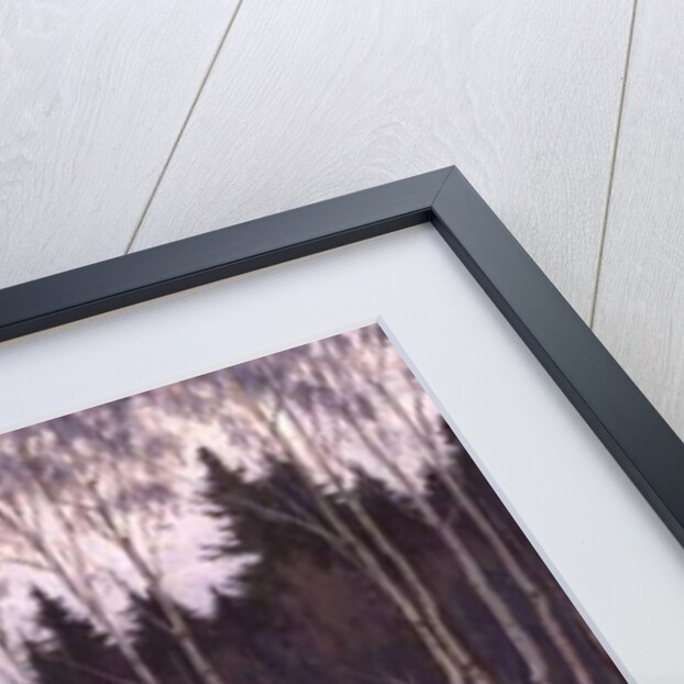 Woodland Trail in Winter by Boris Walentinowitsch Scherkow