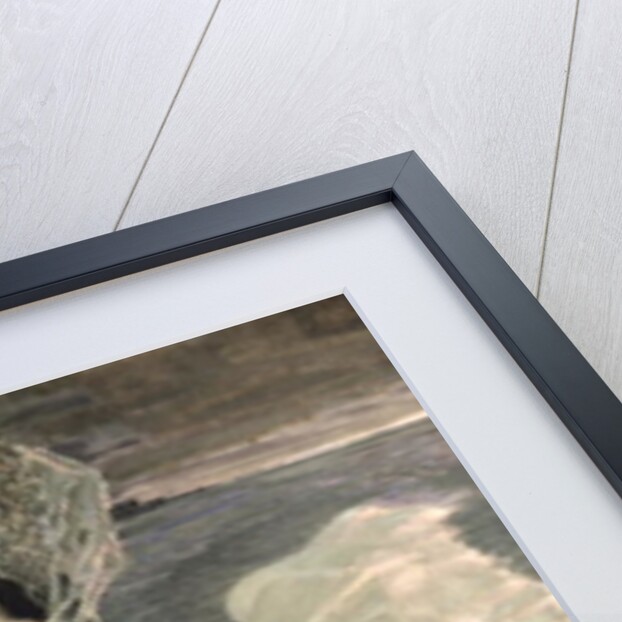 The Swan Princess, 1900 by Mikhail Aleksandrovich Vrubel