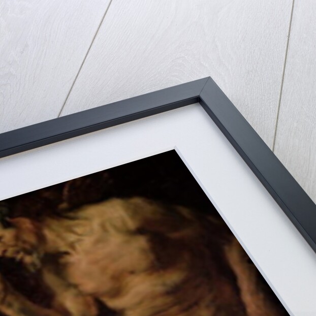 Satyr and Peasant, 1620 by Jacob Jordaens