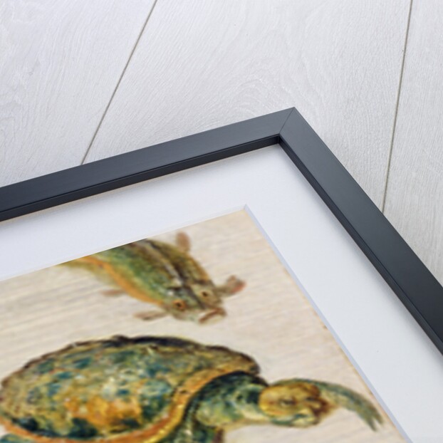 A Study of Insects, Sea Creatures and a Mouse by Jan the Younger Brueghel