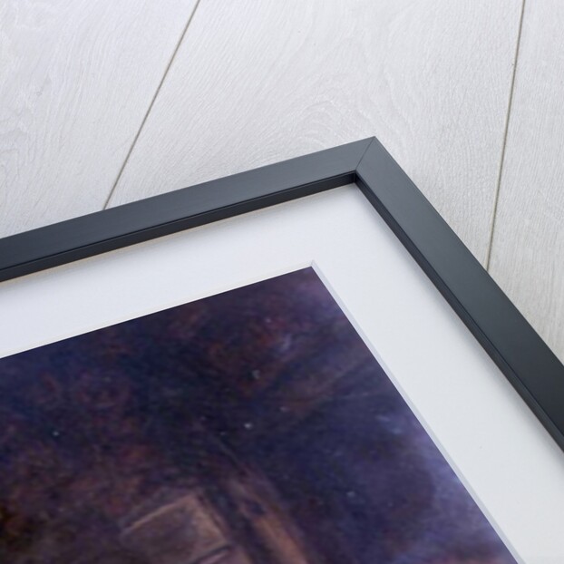 The Itinerant Musician, 17th century by Adriaen Jansz. van Ostade