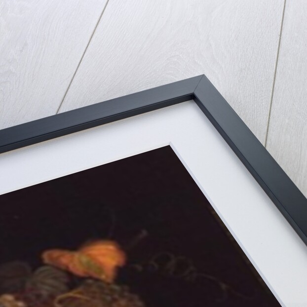 Still Life of Melon, Plums, Grapes, Peaches, Cherries, Strawberries etc on Stone Ledges by Severin Roesen