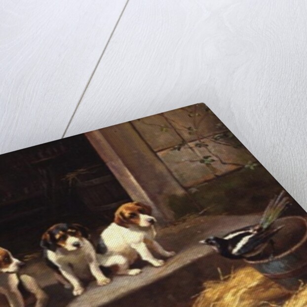 The Uninvited Guest by Alfred Duke