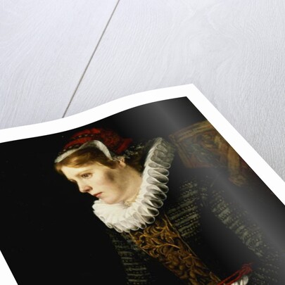 Portrait of a Noble Woman by Paula Monje