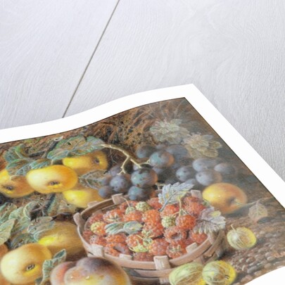 Still Life of Apples, Grapes, Raspberries, Gooseberries and Peach by Oliver Clare