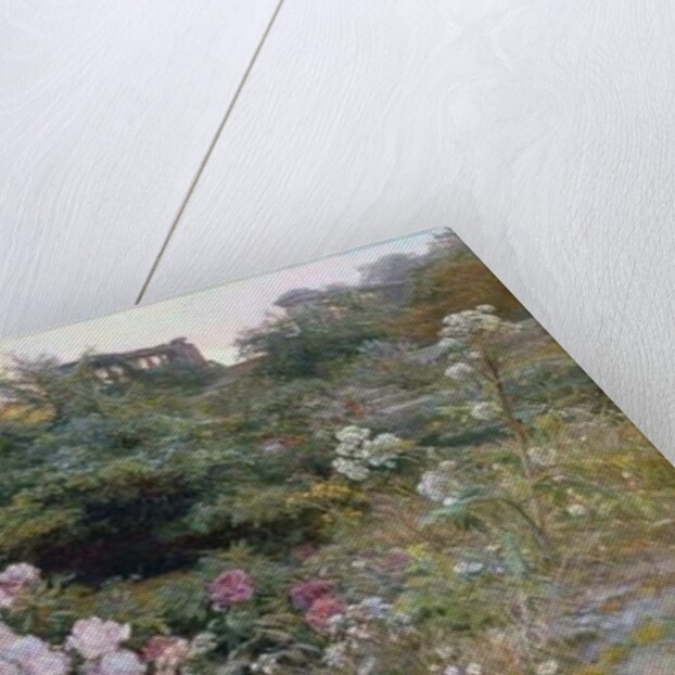 In Full Bloom by Henry Arthur Bonnefoy