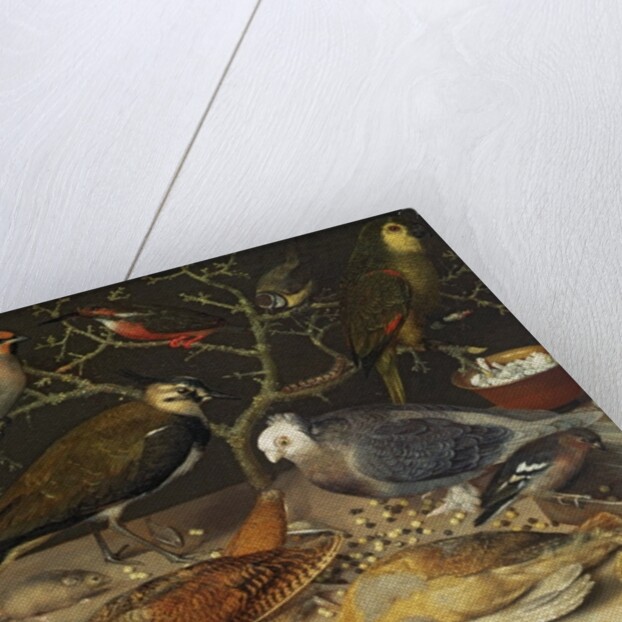 Still Life of Birds and Insects, 1637 by Georg Flegel