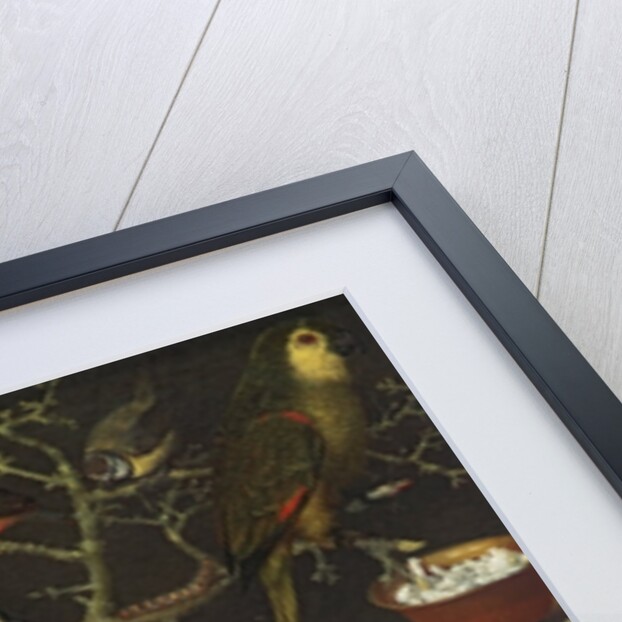 Still Life of Birds and Insects, 1637 by Georg Flegel