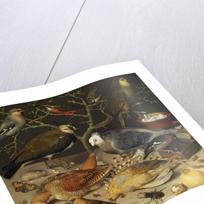 Still Life of Birds and Insects, 1637 by Georg Flegel