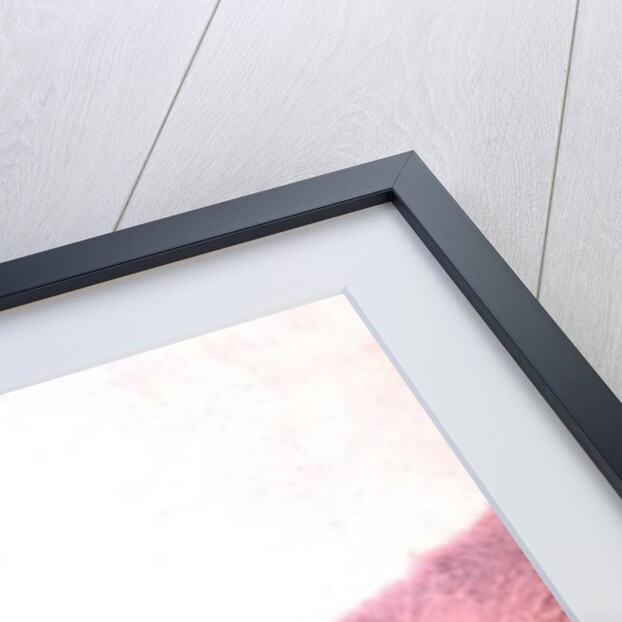 Mountain Scene near Thimphu, Bhutan, 1783, by Samuel Davis