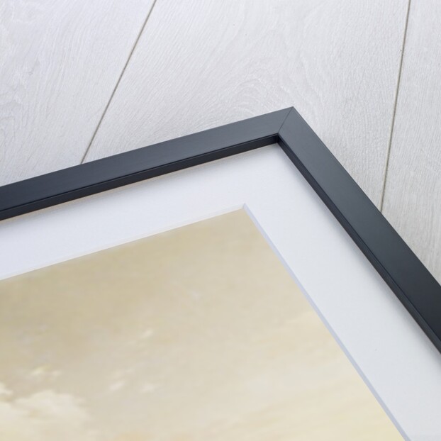 Thames and Westminster by Robert Griffier