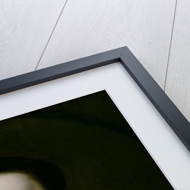 Anne Bateman, later Mrs. John Gisbourne, 1755 by Joseph Wright of Derby