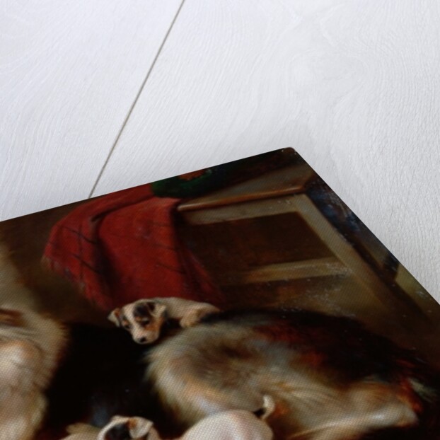 A Collie with Fox Terrier Puppies, 1913 by Walter Hunt