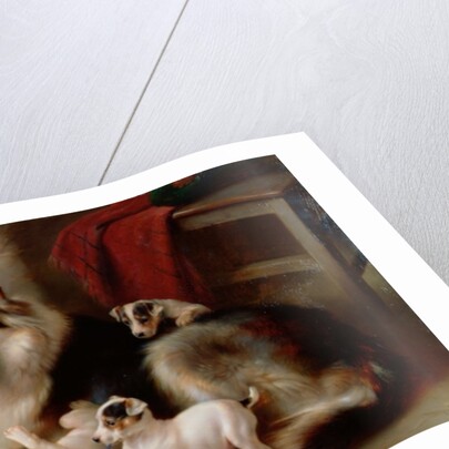 A Collie with Fox Terrier Puppies, 1913 by Walter Hunt