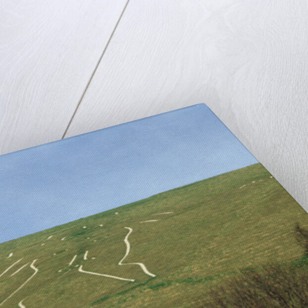 The Cerne Abbas Giant by Anonymous