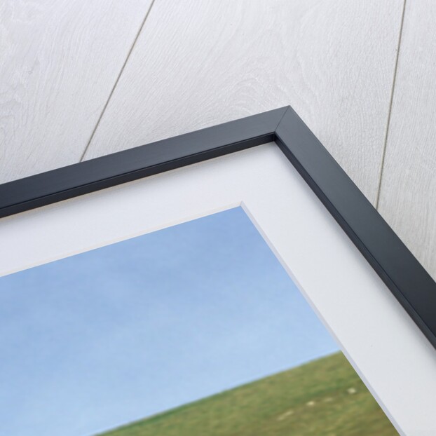 The Cerne Abbas Giant by Anonymous