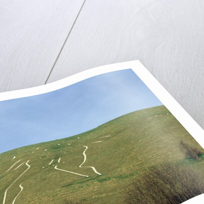 The Cerne Abbas Giant by Anonymous